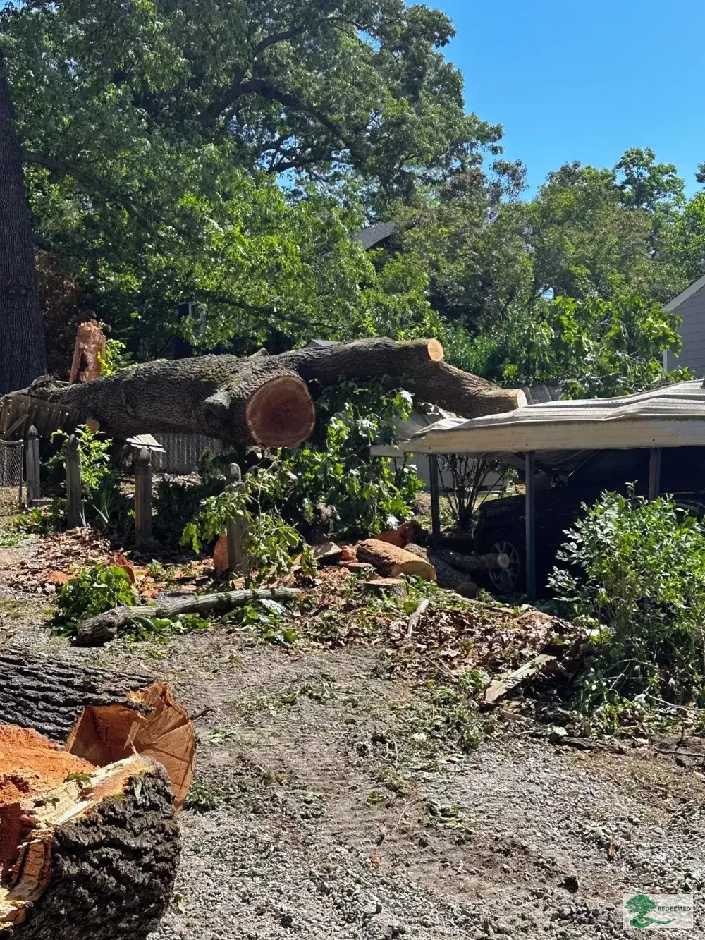 Tree Removal Storm Damage